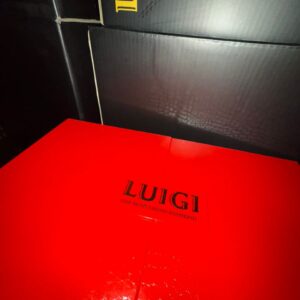 Luigi V7 Disposable 2G