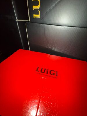 Luigi V7 Disposable 2G