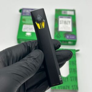 Stiiizy 1G Disposable