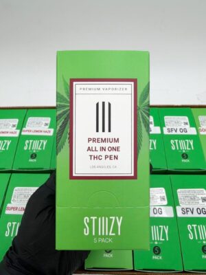 Stiiizy 1G Disposable