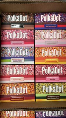 Polkadot Mushroom Belgian Chocolate