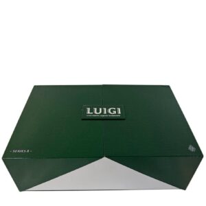 Luigi Series 8 Disposable 2G V8