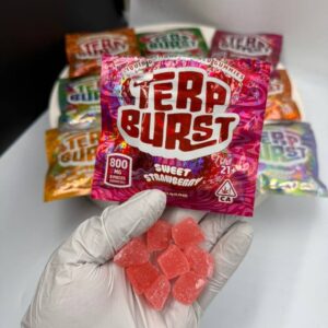 Authentic Terp Burst Gummies 800mg